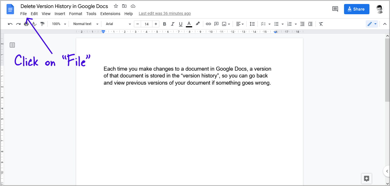 Delete Version History in Google Docs