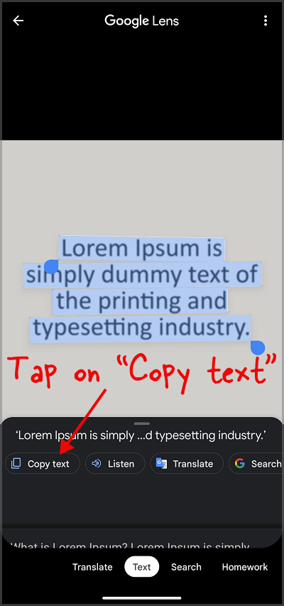 How to Copy Text From a Picture