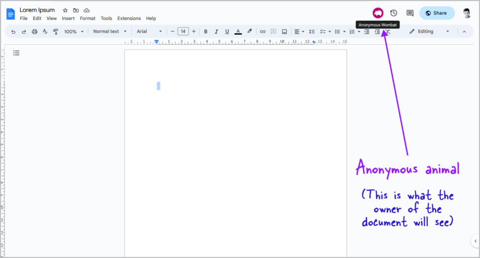 how to make your email anonymous on google docs