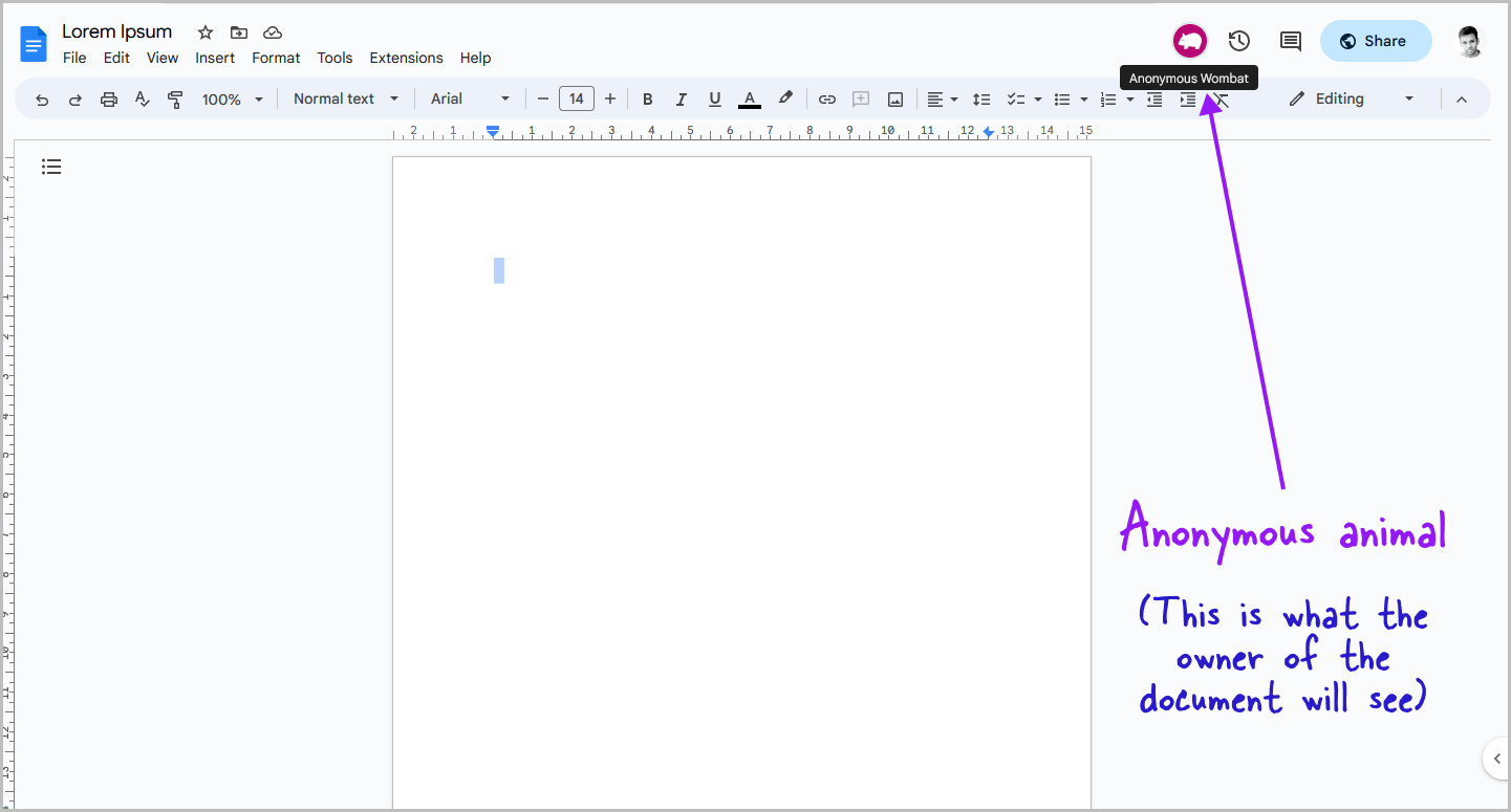 How to Make Yourself Anonymous on Google Docs