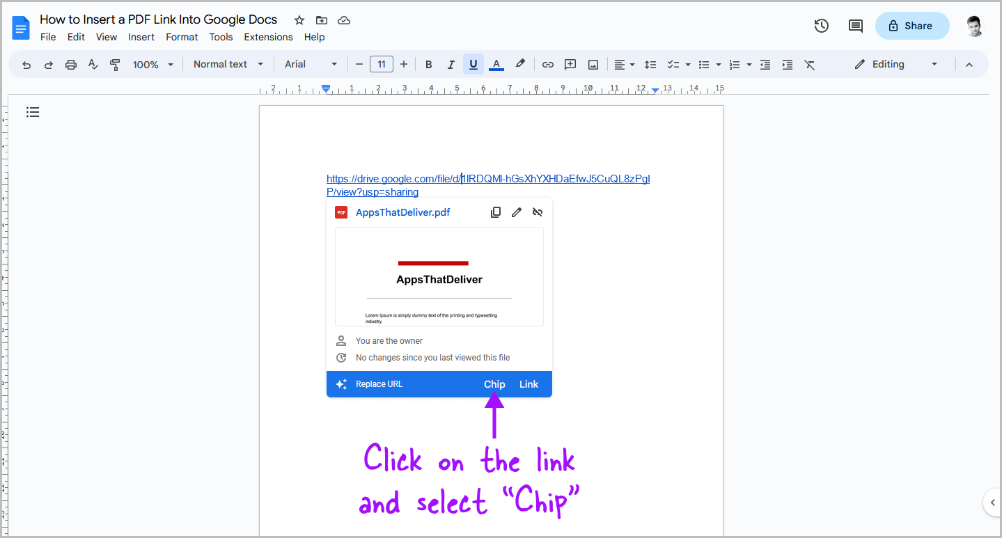 How to Insert a PDF Link Into Google Docs