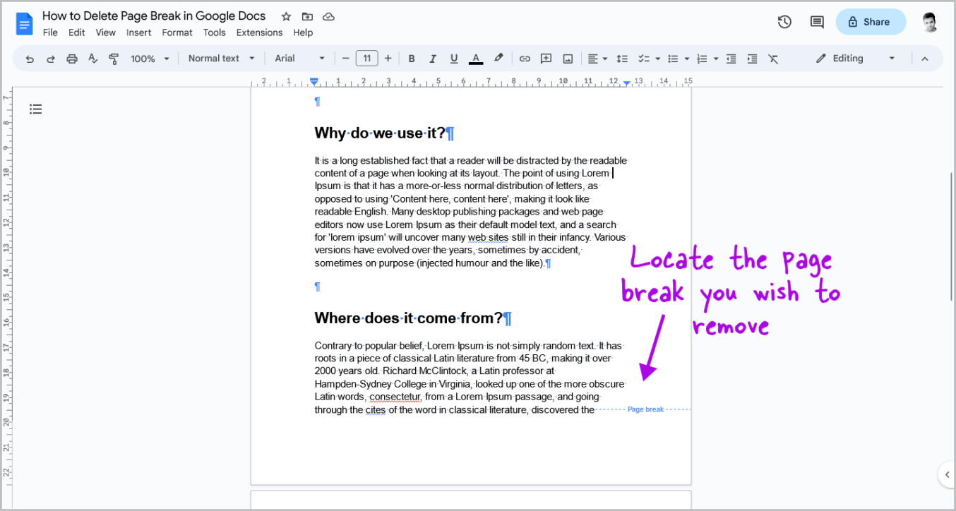 How To Delete Page Break In Google Docs [6 Easy Steps]