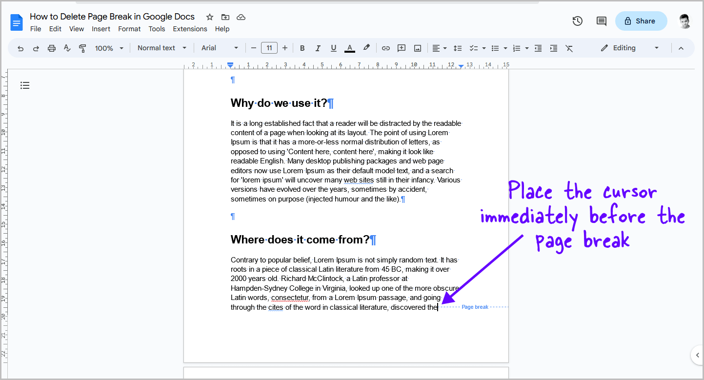 How to Delete Page Break in Google Docs