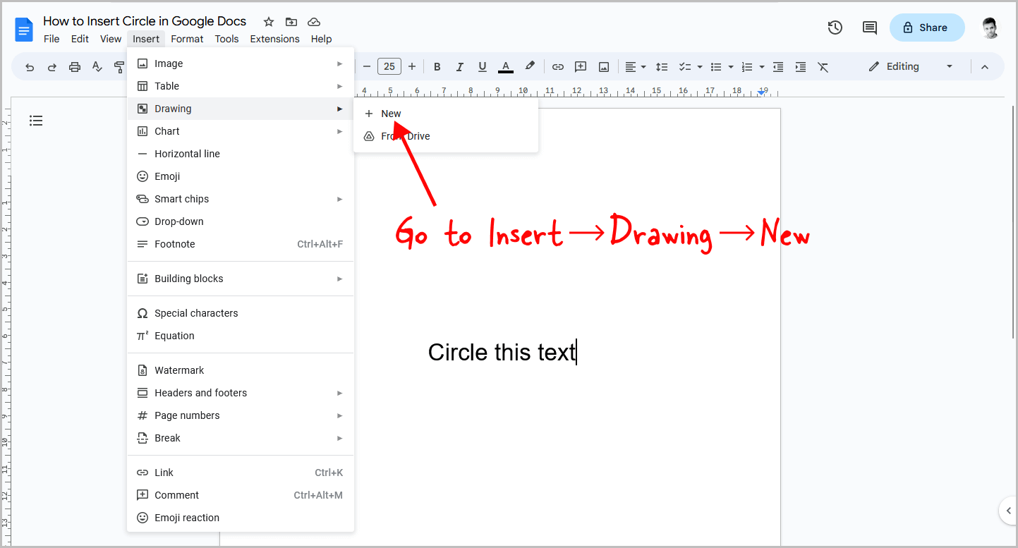 How to Insert Circle in Google Docs