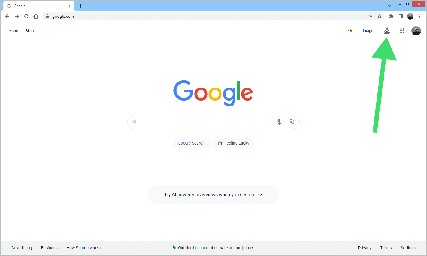 Turn Off Google AI Search