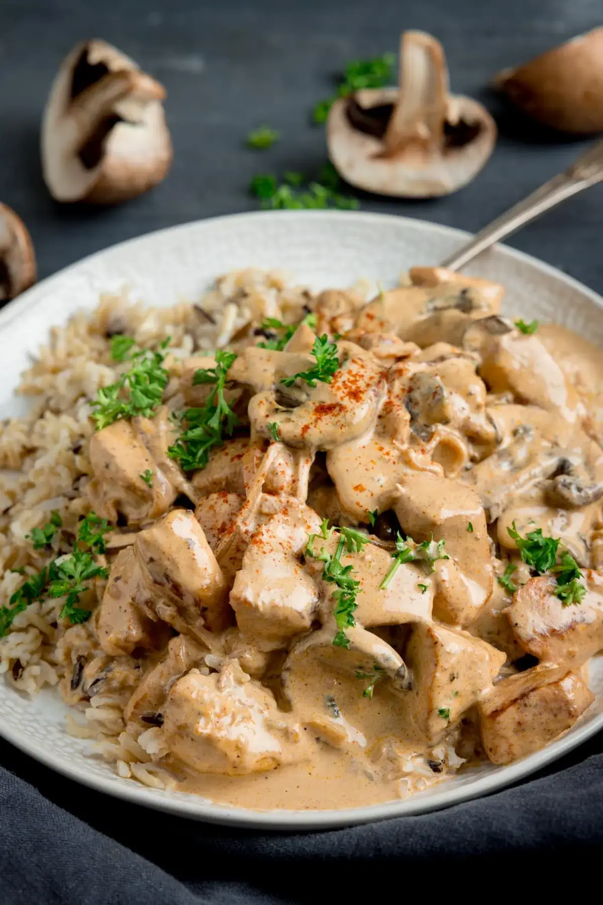 21 Best Slow Cooker Chicken Recipes