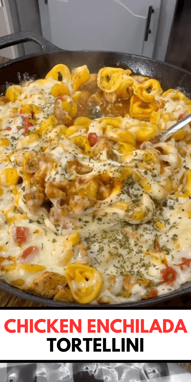 Quick and Delicious Chicken Enchilada Tortellini