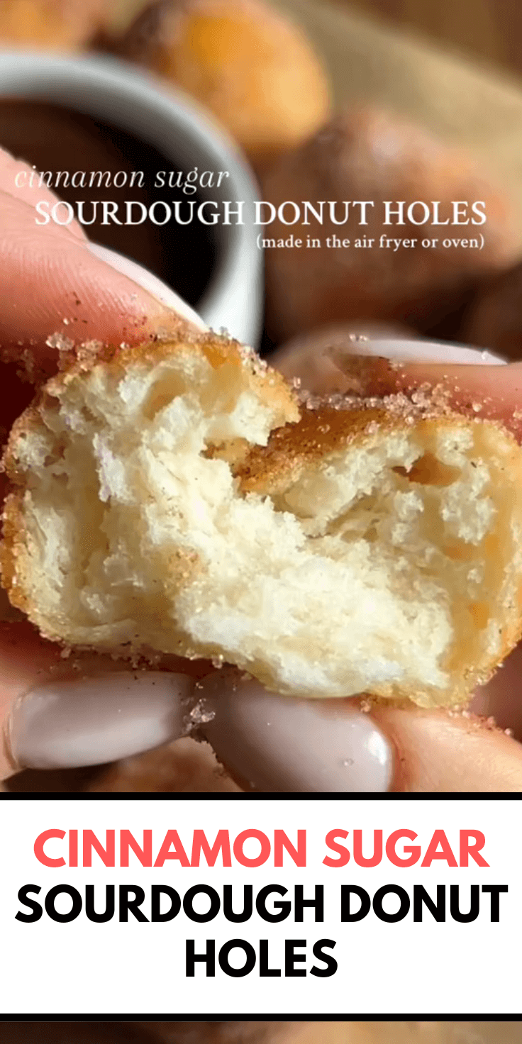 Cinnamon Sugar Sourdough Donut Holes