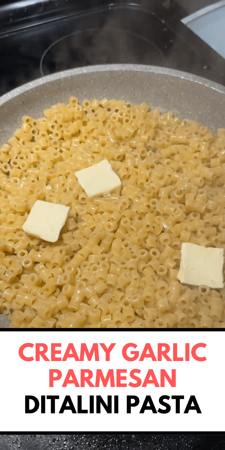 Creamy Garlic Parmesan Ditalini Pasta Recipe