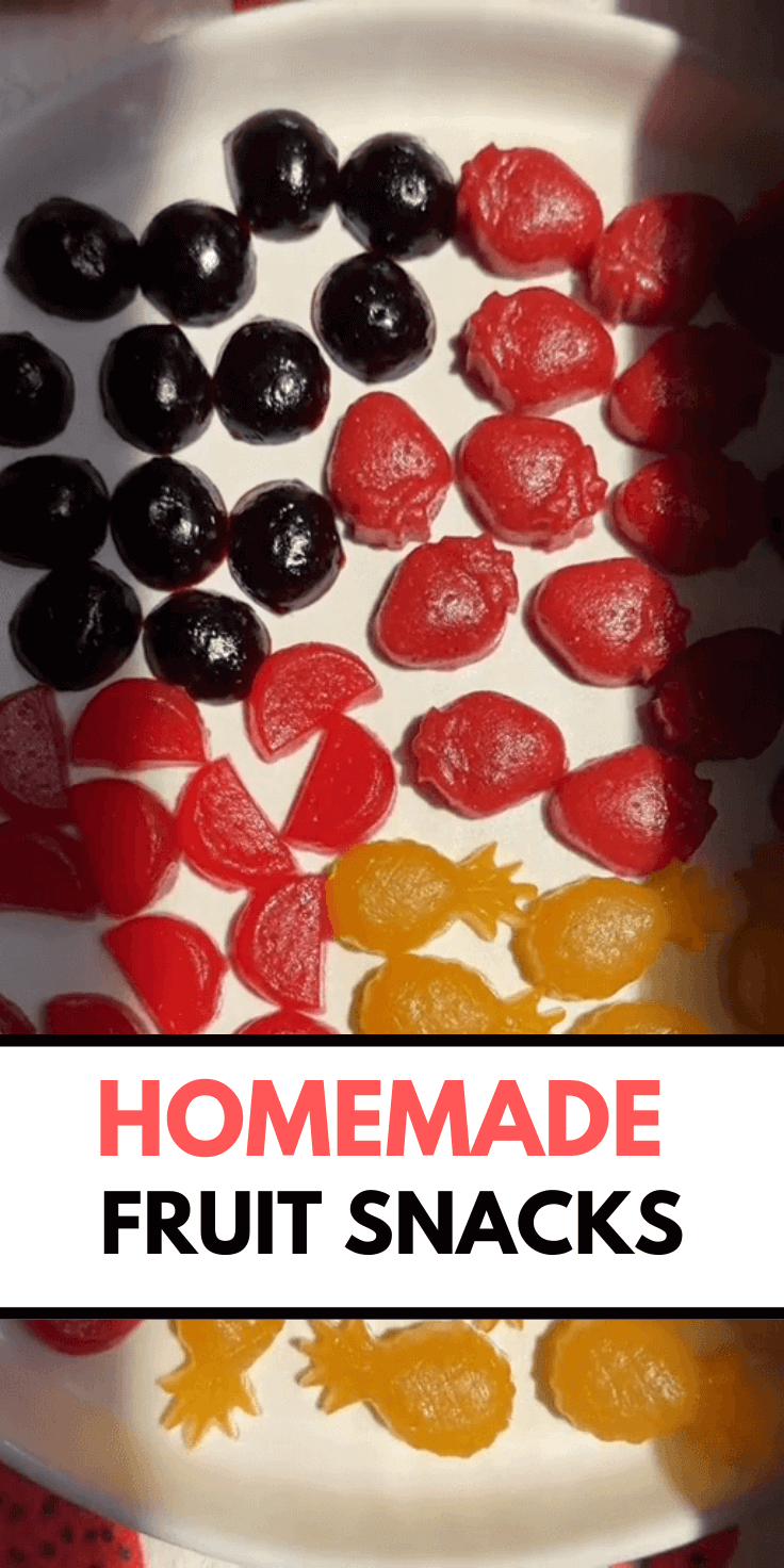 Homemade Fruit Snacks!