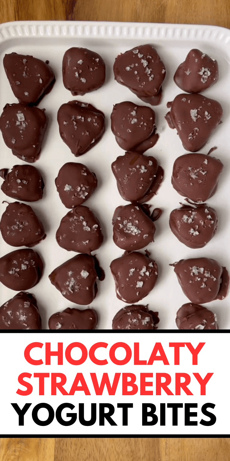 Chocolate Covered Strawberry Yogurt Bites