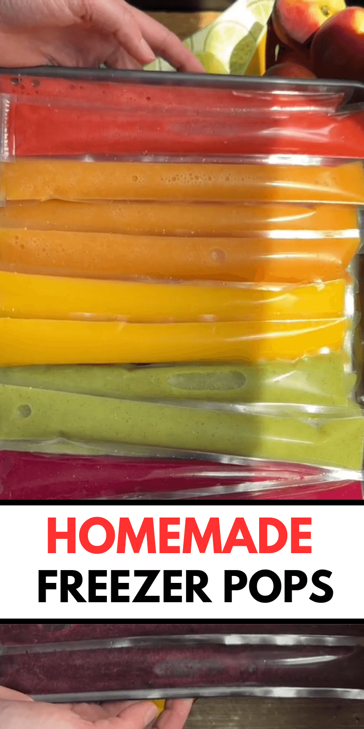 Homemade Freezer Pops