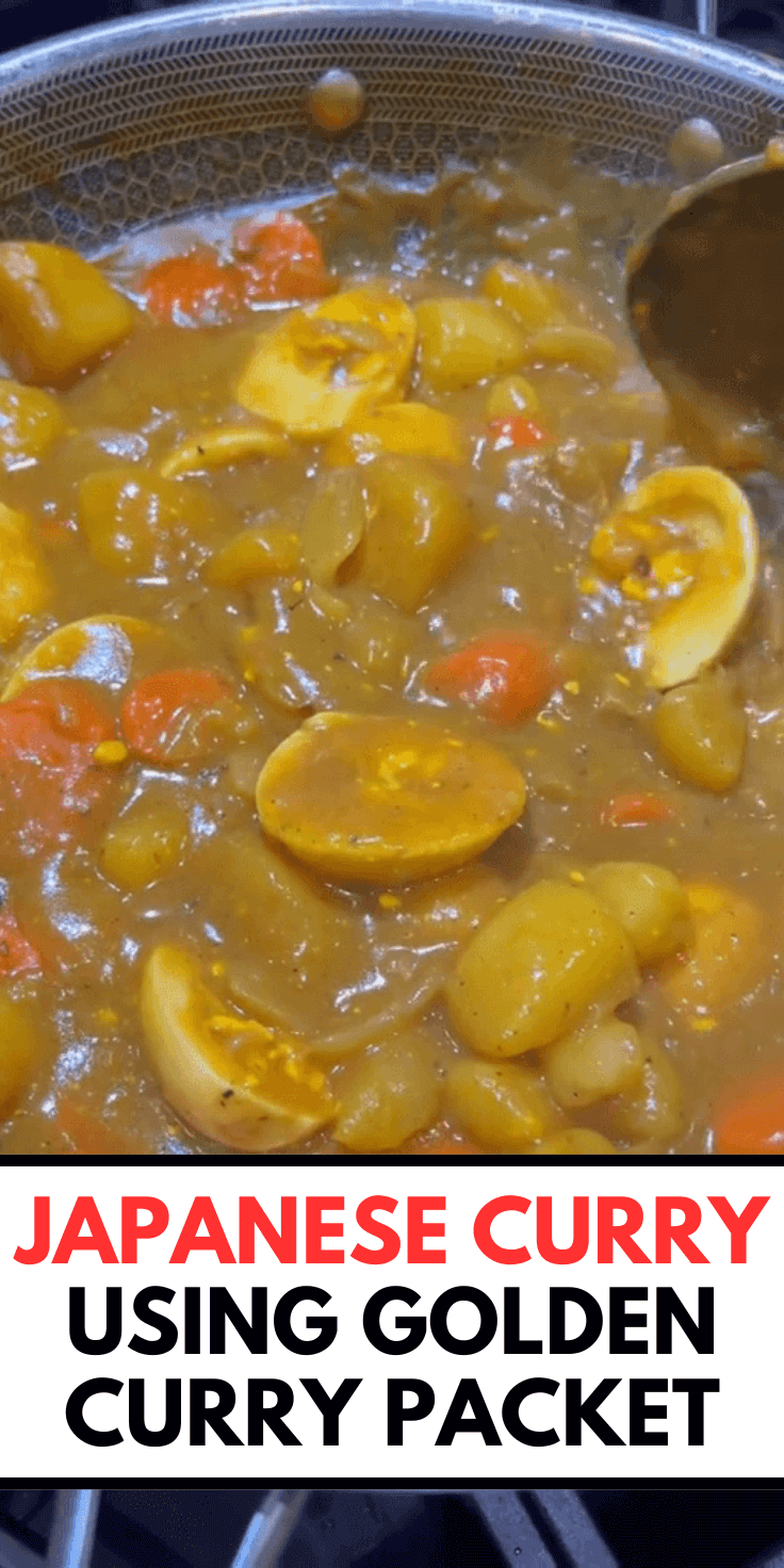 Japanese Curry Using Golden Curry Packet