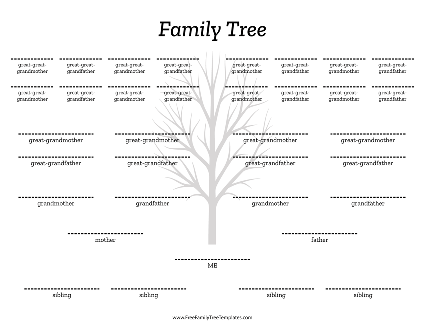 5 Generation Family Tree Siblings Template