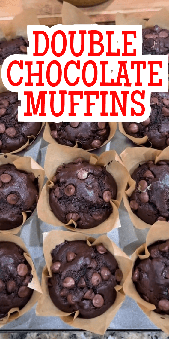 Double Chocolate Muffins Recipe